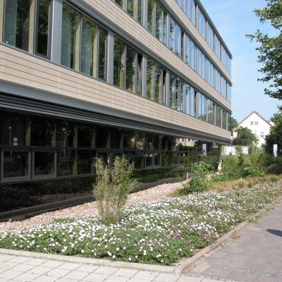 Buschstrae