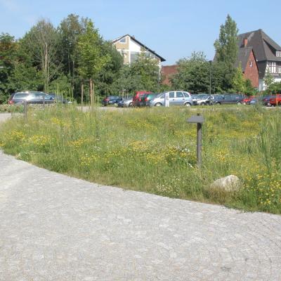 Fuweg Granit