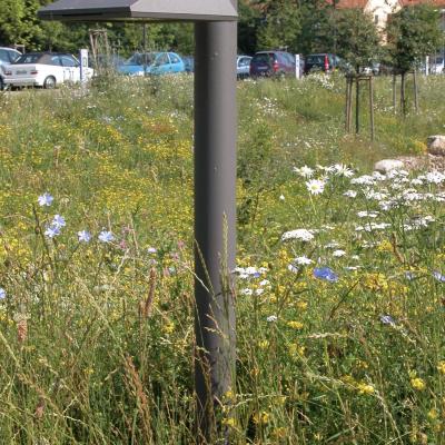 Pollerleuchte In Wiese1