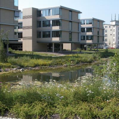 Teich1