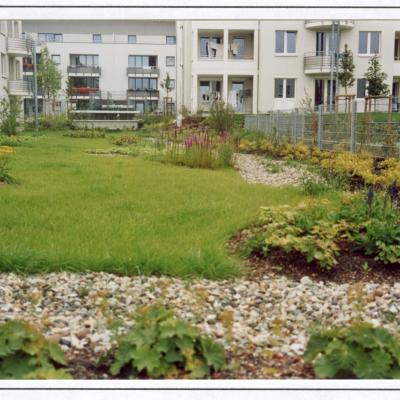 Begruntes Tg Dach