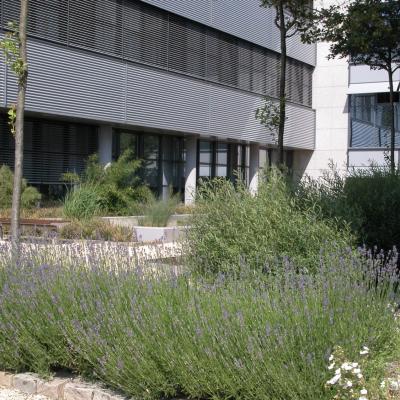 Innenhof6