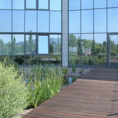 Spieglein Spieglein An Der Wand