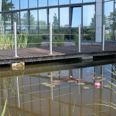 Steg Uber Teich