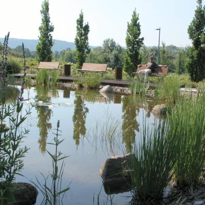 Teich West1