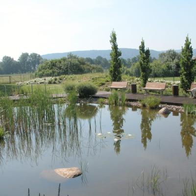 Teich West2