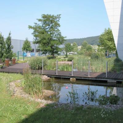 Teich West6
