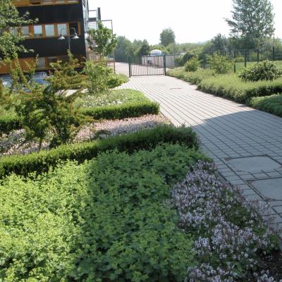 Wege1