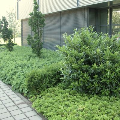 Wege2