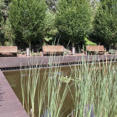 Sitzplatz Am Teich2