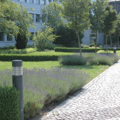 Weg1