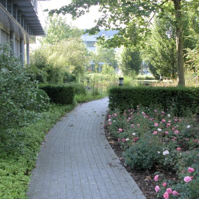 Weg2